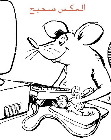 ����� ����